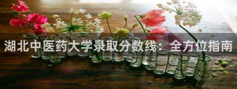 9游会登录地址