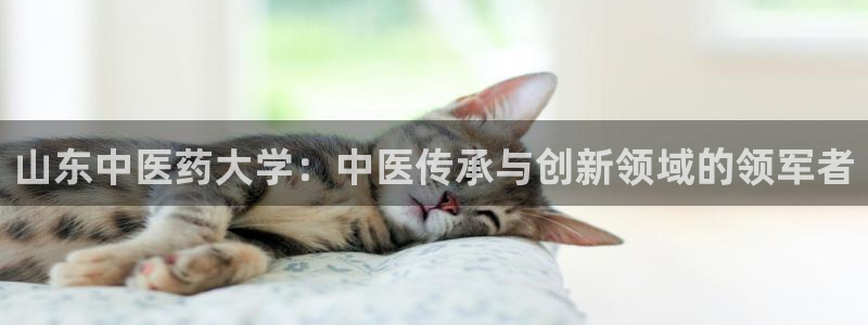 j9九游会老哥俱乐部成员