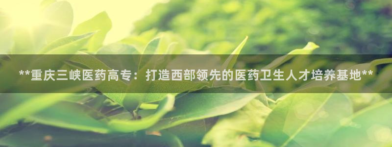 j9九游会真人游戏第一