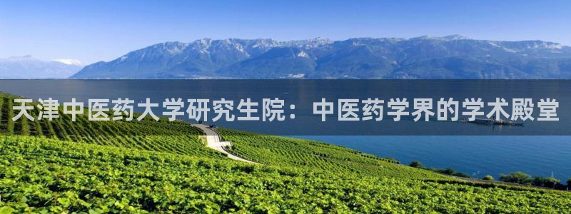 九游会国际厅登录 - j9九游会首页登录新版