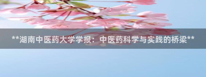 ag改九游会