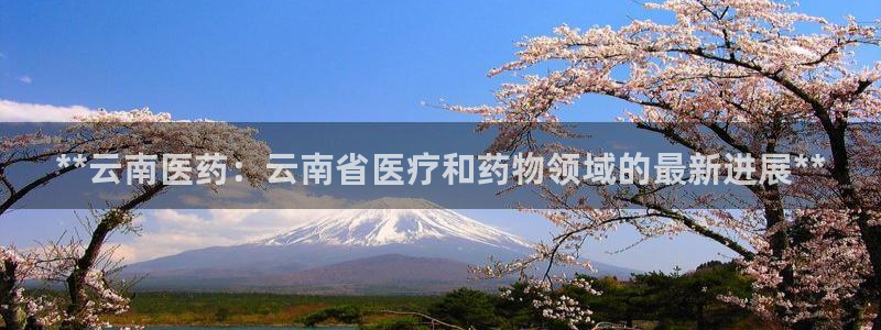 j9九游会vip