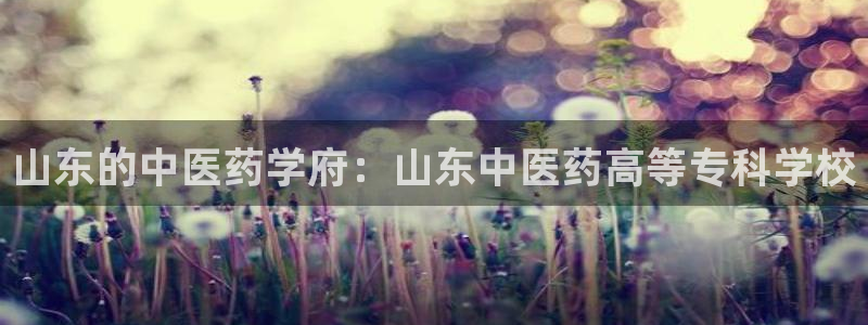 九游会官网app下载