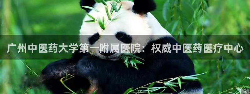 J9九游会老网站