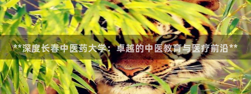 j9九游会注册