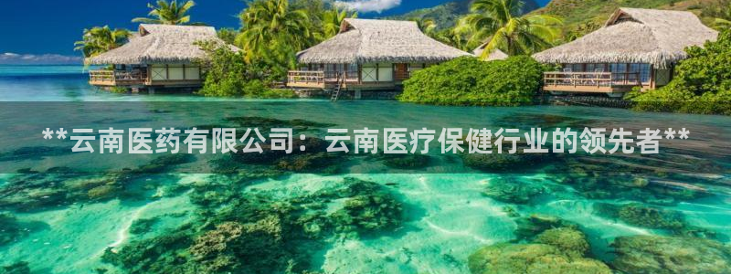 九游会官网ag旧版