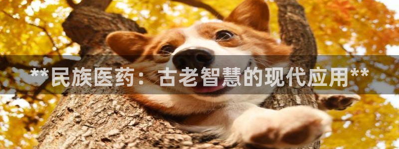 九游会中国j9 09.ag