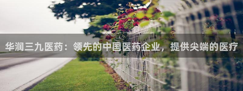 9游会j9