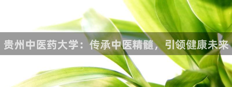 9游会ag
