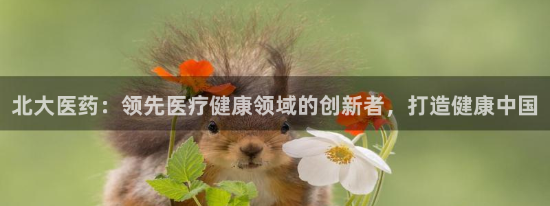 j9九游会下载
