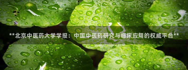 九游会的网址是多少