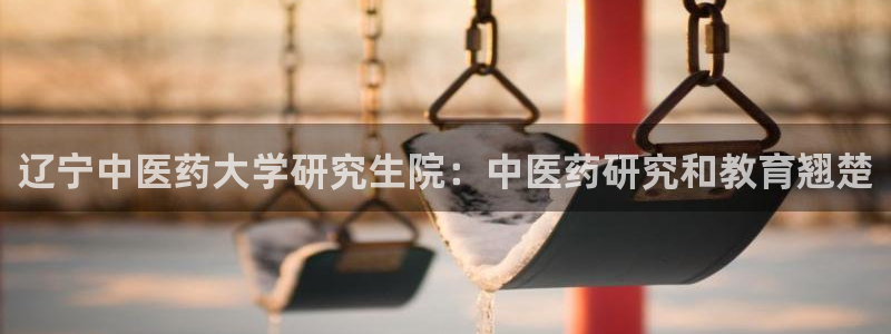 九游会ag网址大全专业版