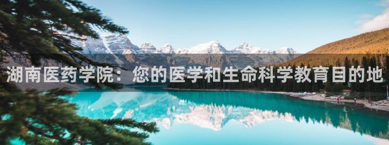 J9九游会试玩入口