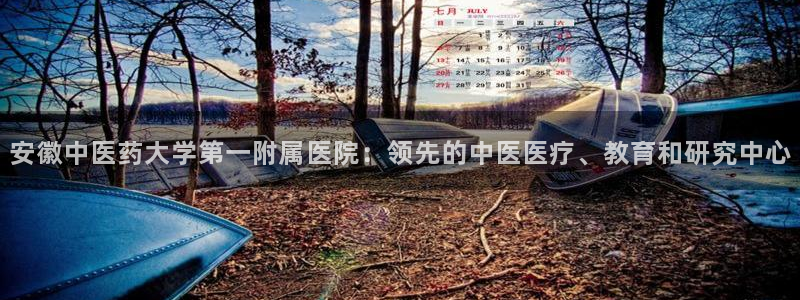 j9九游会入口j9