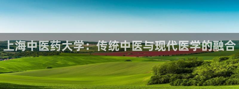 九游会是ag吗