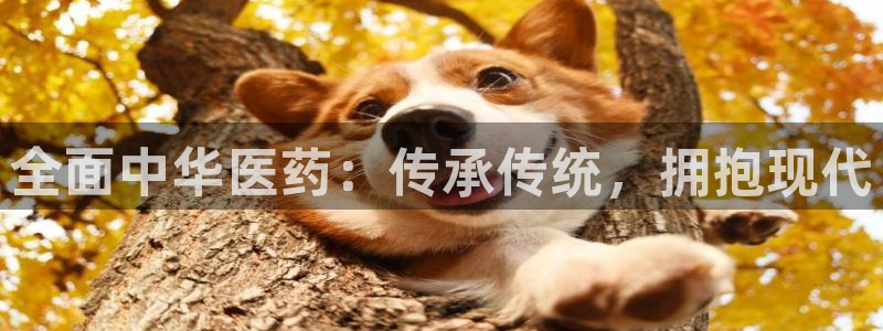ag8亚洲九游会