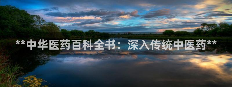 九游会国际站