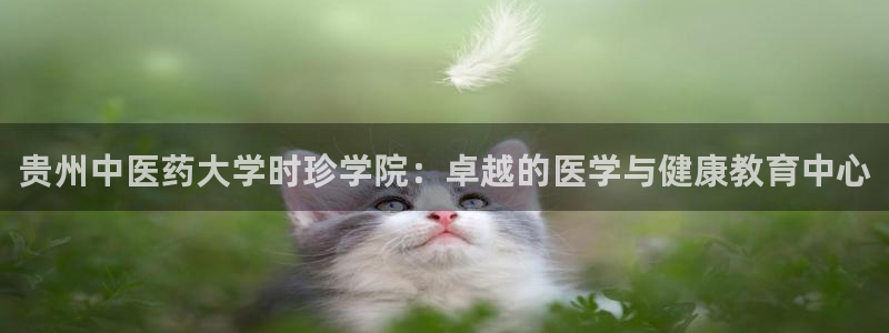 九游会官网真人认证吗知乎
