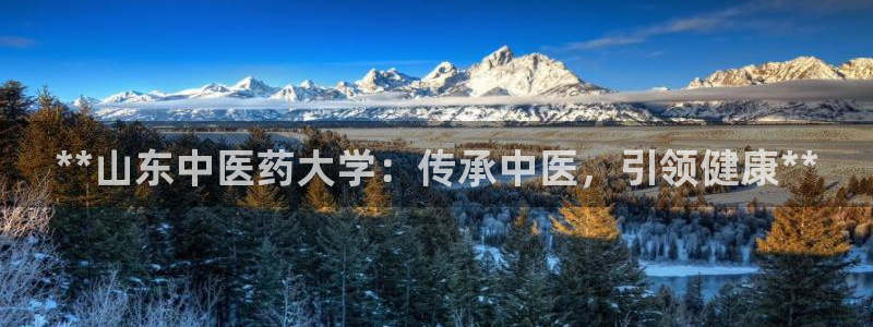 J9九游会J9