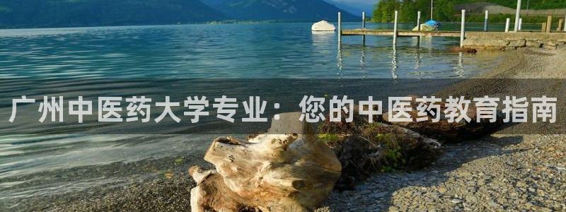 九游会倒闭