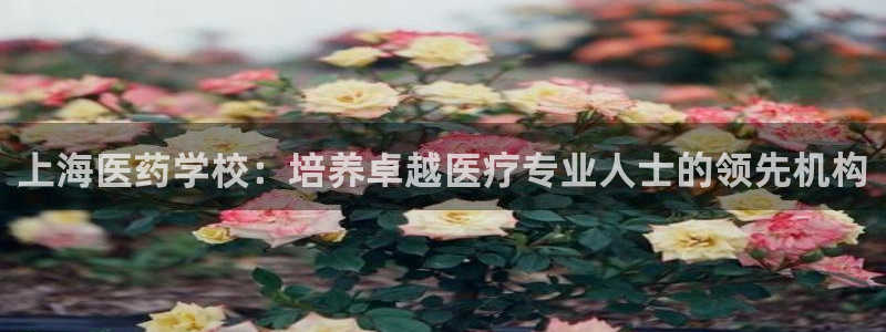 九游会主页