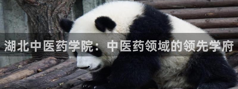 九游会官网个人中心登录