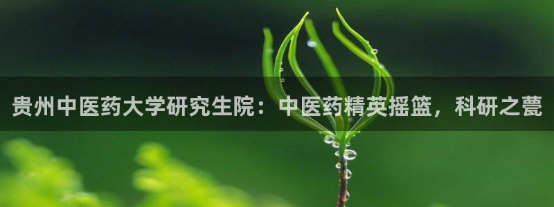 J9九游会登陆旧版