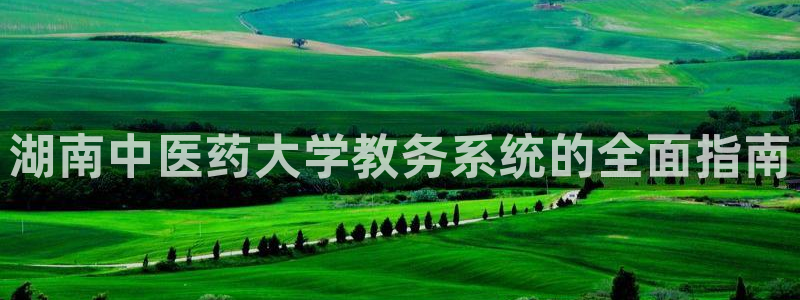 ag九游会客户端