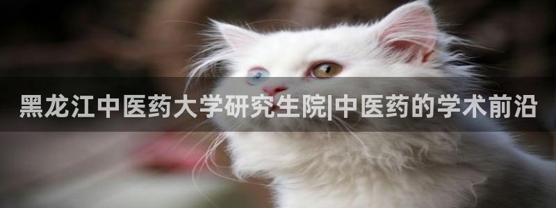 ag九游会登录j9入口