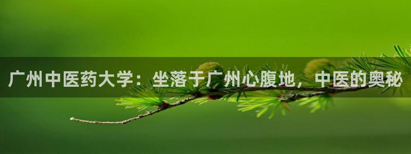 j9九游会官网入口