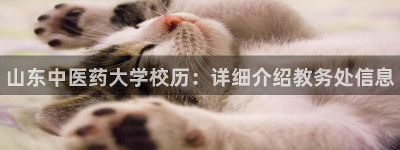 九游会ag官方网站
