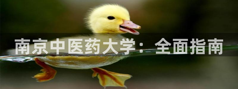j9九游会登录网址