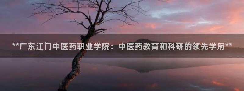 j9九游会跑路了吗