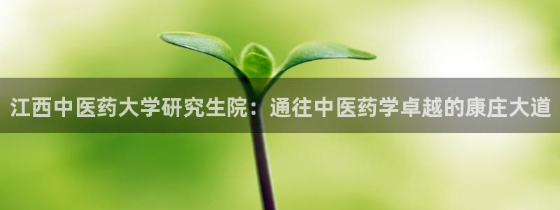 九游j9国际站官方网站