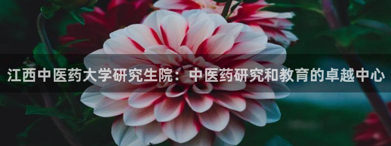 九游会在线官方网站