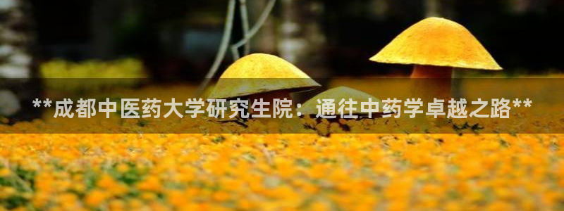 j9九游会不出款
