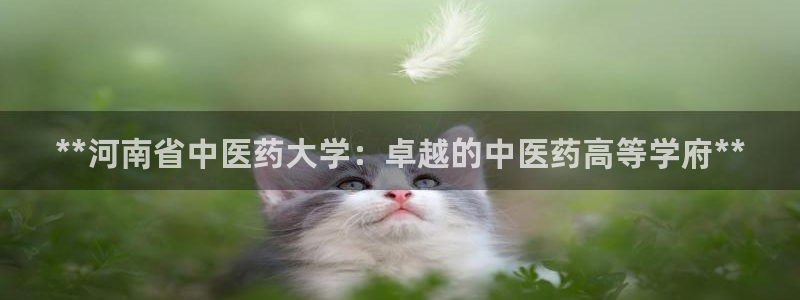 ag九游会登入