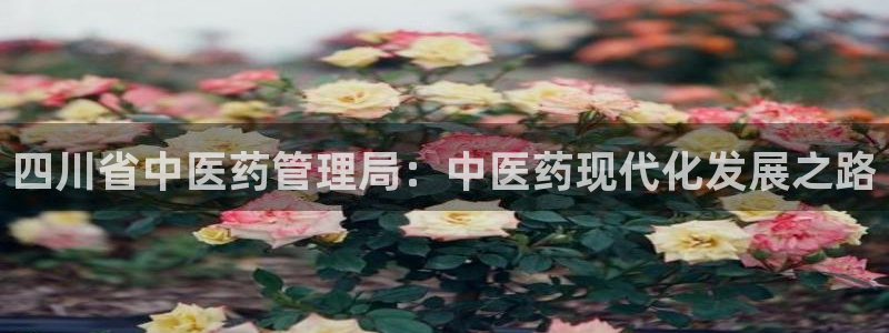 J9九游会首页登录