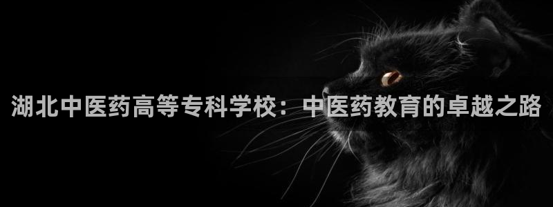 j9九游会真人游戏第一