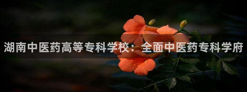 九游会ag真人官网在哪