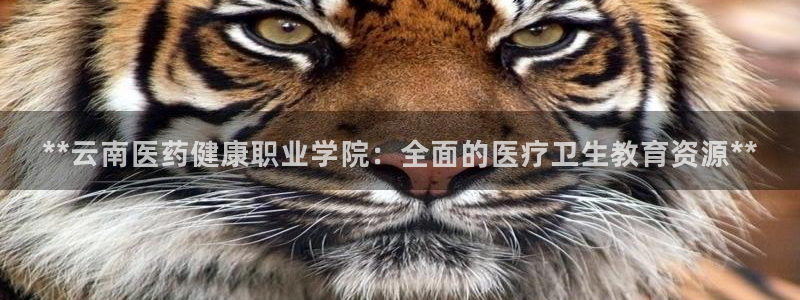 九游官网首页进入j9
