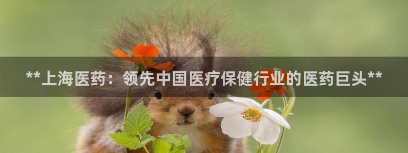 ag九游会vip8