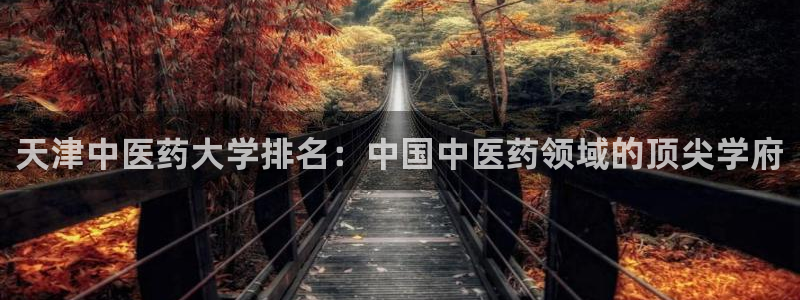 j9j4.cn