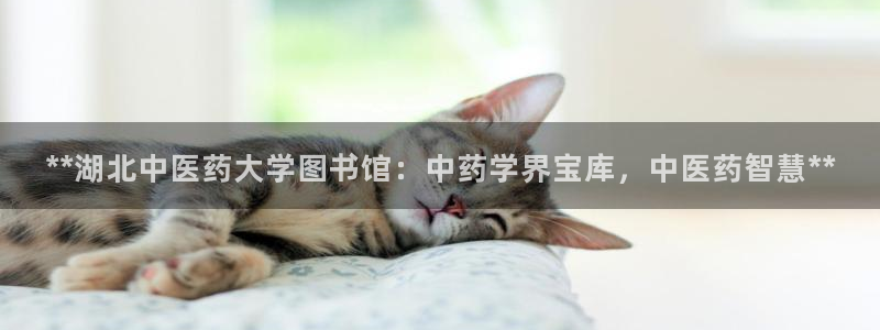 九游会官网入口首页