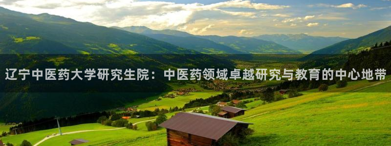 九游会网址是什么