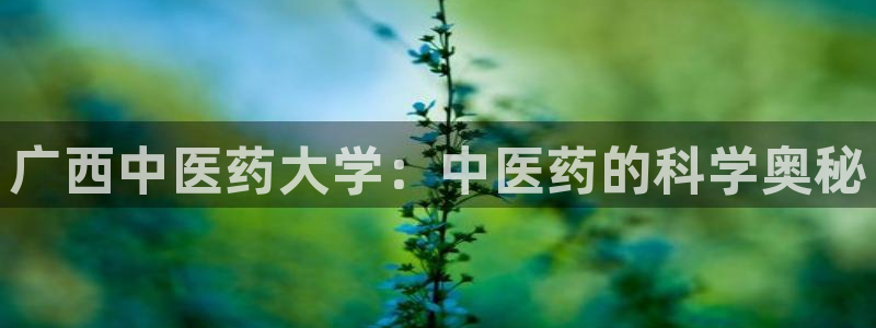 j9九游会首页入口
