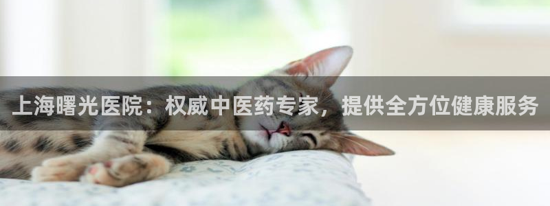 ag老队友
