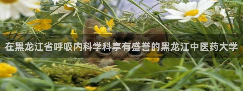 九游会亚洲官网