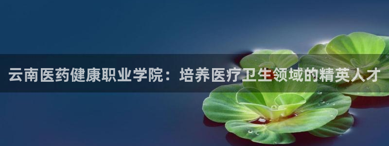 九游j9打不开