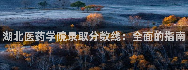 j9363九游会首页